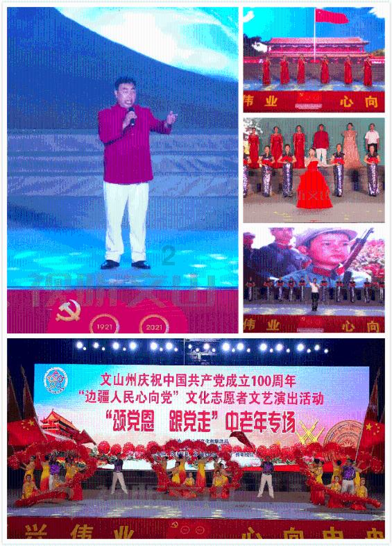 可爱小猫向上跳